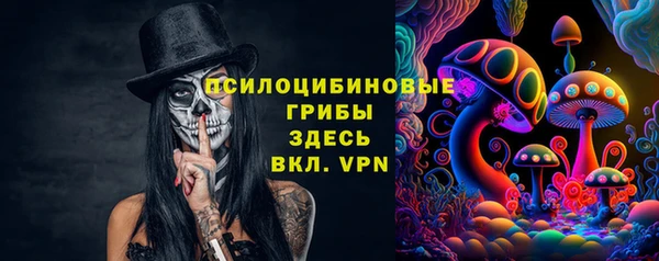 мдпв Абаза